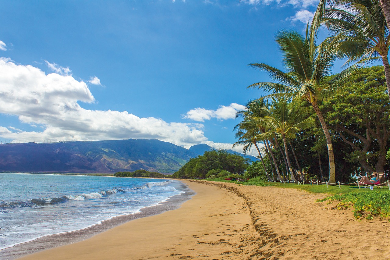 beach, landscape, hawaii-1630540.jpg
